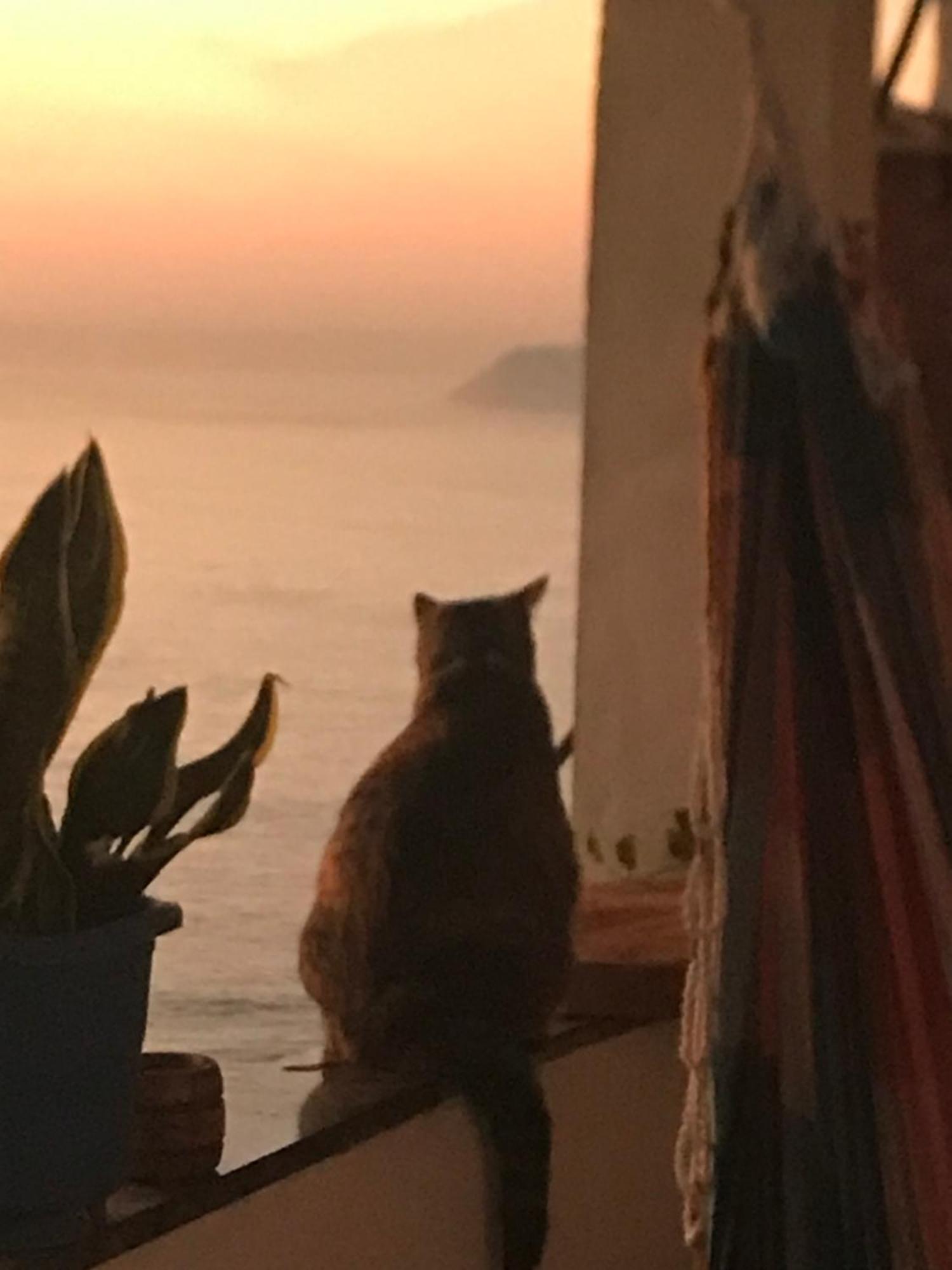 Auberge de jeunesse Bella Vista Vidigal *